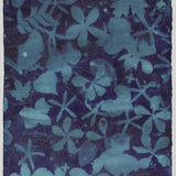Original Cyanotype on Paper 11x30"