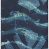 Original Cyanotype on Paper 11x30"