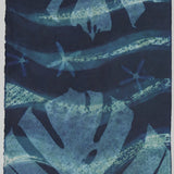 Original Cyanotype on Paper 11x30"