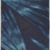 Original Cyanotype on Paper 11x30"