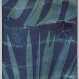 Original Cyanotype on Paper 11x30"