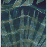 Original Cyanotype on Paper 11x30"