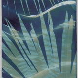 Original Cyanotype on Paper 11x30"