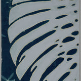 Original Cyanotype on Paper 11x30"