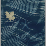 Original Cyanotype on Paper 11x30"