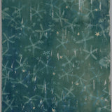 Original Cyanotype on Paper 15 x 22"