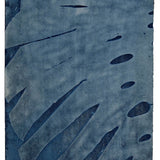 Cyanotype on Paper 11x30"