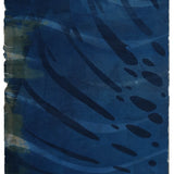 Cyanotype on Paper 11x30"
