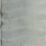 Original Cyanotype on Paper 15 x 22"