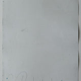 Original Cyanotype on Paper 15 x 22"