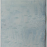 Original Cyanotype on Paper 15 x 22"