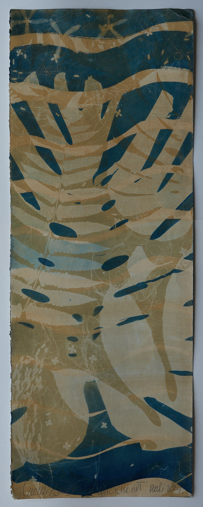 Original Cyanotype on Paper 11x30"