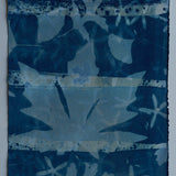 Original Cyanotype on Paper 11x30"