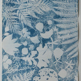 Original Cyanotype on Paper 15 x 22"
