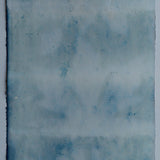 Original Cyanotype on Paper 11x30"