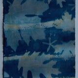 Original Cyanotype on Paper 11x30"