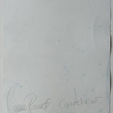 Original Cyanotype on Paper 15 x 22"