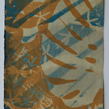 Original Cyanotype on Paper 11x30"