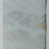 Original Cyanotype on Paper 11x30"