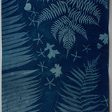 Original Cyanotype on Paper 22 x 30"
