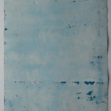 Original Cyanotype on Paper 22 x 30"