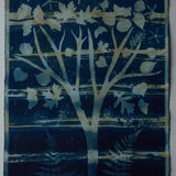 Original Cyanotype on Paper 22 x 30"