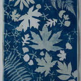 Original Cyanotype on Paper 22 x 30"