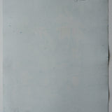 Original Cyanotype on Paper 22 x 30"