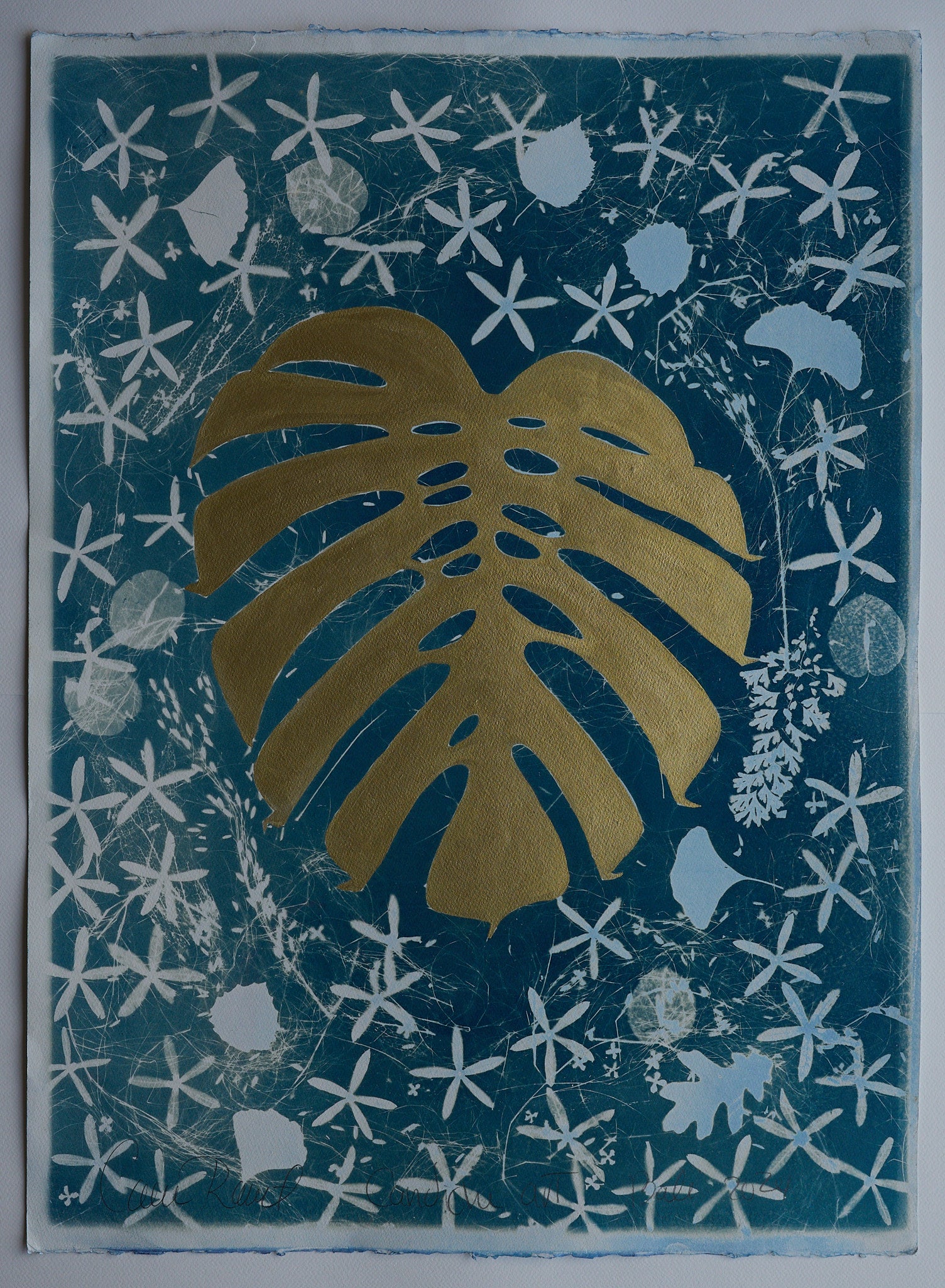 Original Cyanotype on Paper 22 x 30"