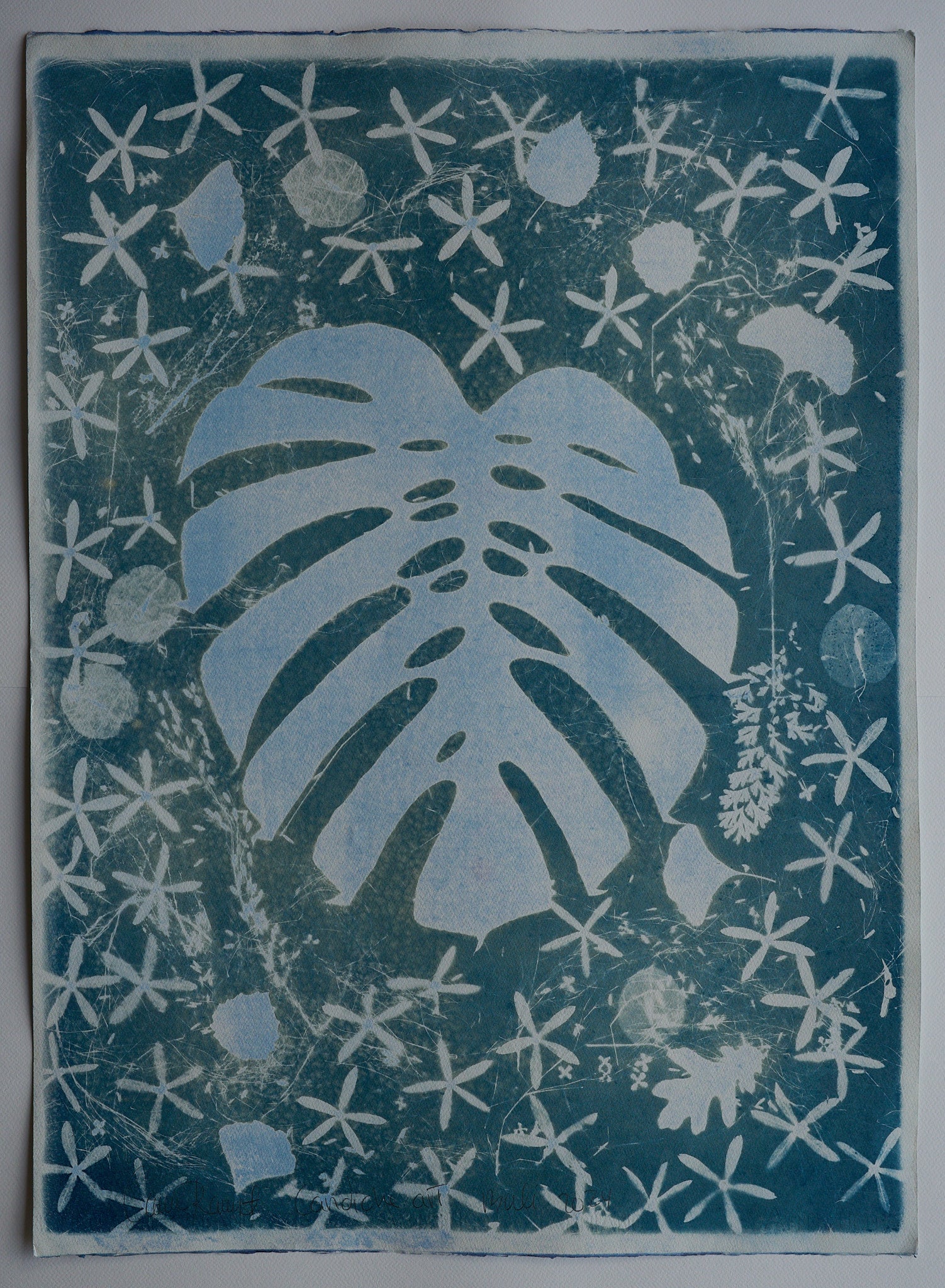 Original Cyanotype on Paper 22 x 30"