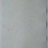 Original Cyanotype on Paper 22 x 30"