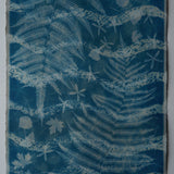 Original Cyanotype on Paper 22 x 30"