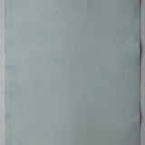 Original Cyanotype on Paper 22 x 30"