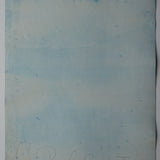 Original Cyanotype on Paper 22 x 30"