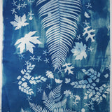 Forest Original Cyanotype on Fabric