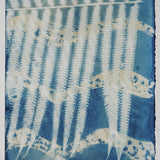 Original Cyanotype on Paper 11x30"