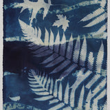 Original Cyanotype on Paper 11x30"