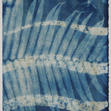 Original Cyanotype on Paper 11x30"