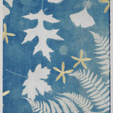 Original Cyanotype on Paper 11x30"