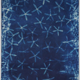 Original Cyanotype on Paper 15 x 22"