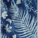 Original Cyanotype on Paper 15 x 22"