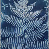 Original Cyanotype on Paper 15 x 22"