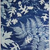 Original Cyanotype on Paper 22 x 30"