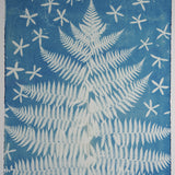 Original Cyanotype on Paper 22 x 30"