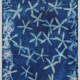 Original Cyanotype on Paper 11x30"