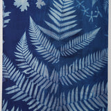 Original Cyanotype on Paper 22 x 30"