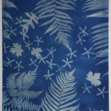 Original Cyanotype on Paper 22 x 30"