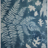 Original Cyanotype on Paper 22 x 30"