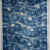 Original Cyanotype on Paper 22 x 30"