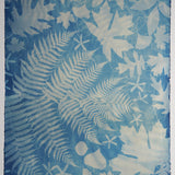 Original Cyanotype on Paper 22 x 30"